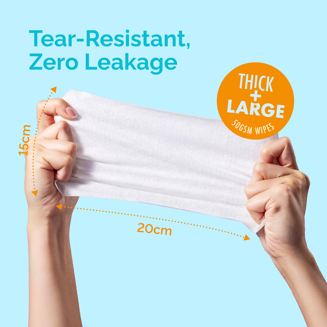 [CARTON DEAL] Hoppi Baby Wet Wipes (80 Wipes x 12 Packs)