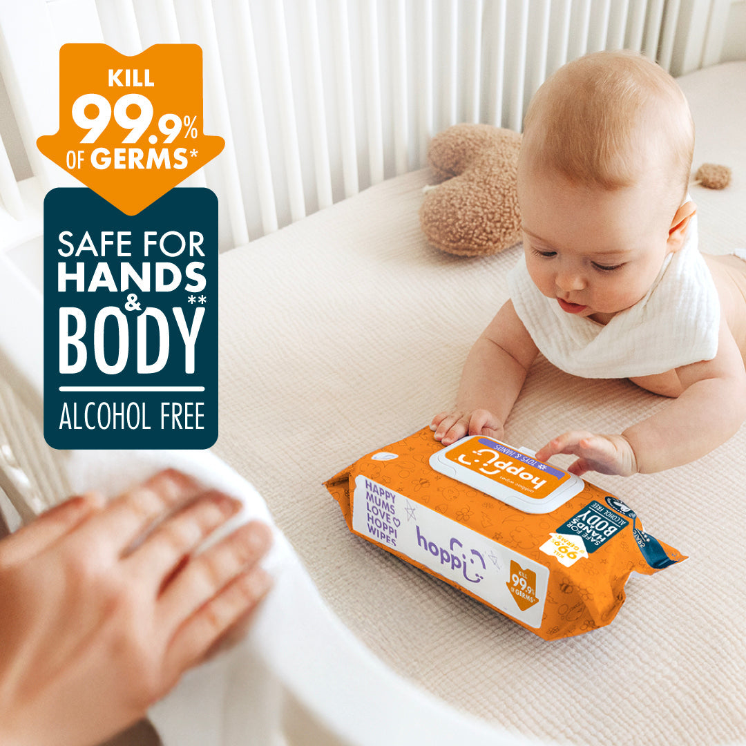 [CARTON DEAL] Hoppi Antibacterial Wipes (80 Wipes x 12 Packs)
