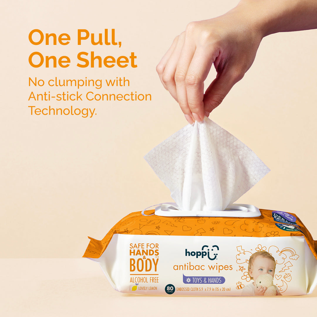[CARTON DEAL] Hoppi Antibacterial Wipes (80 Wipes x 12 Packs)