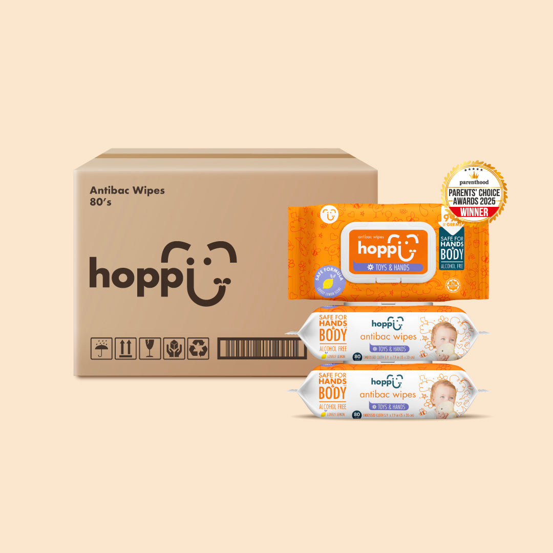 [CARTON DEAL] Hoppi Antibacterial Wipes (80 Wipes x 12 Packs)
