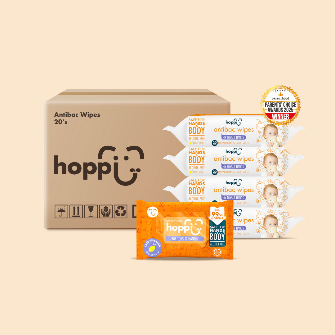 [CARTON DEAL] Hoppi Antibacterial Wipes (20 Wipes x 25 Packs)