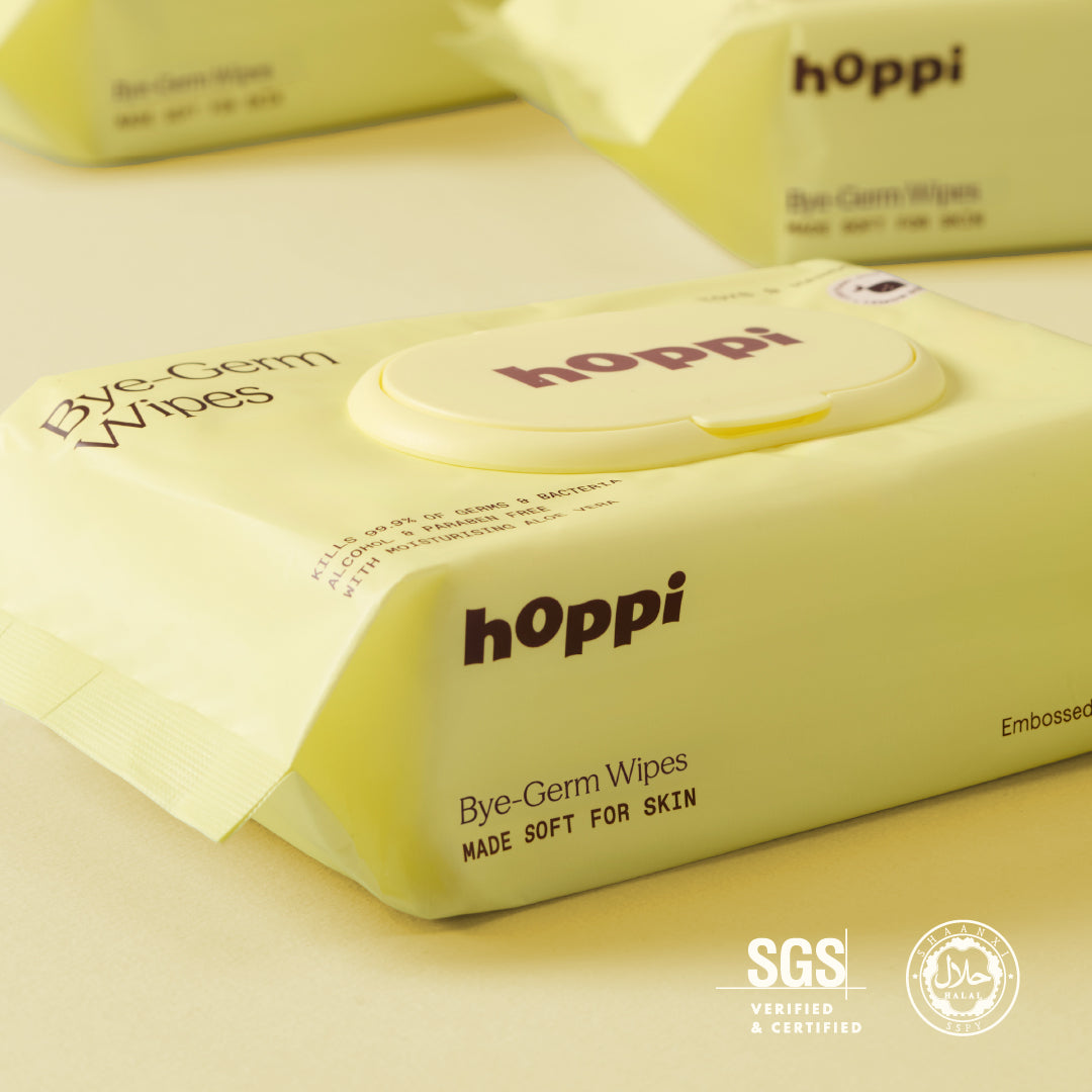 Bye-Germ Wipes