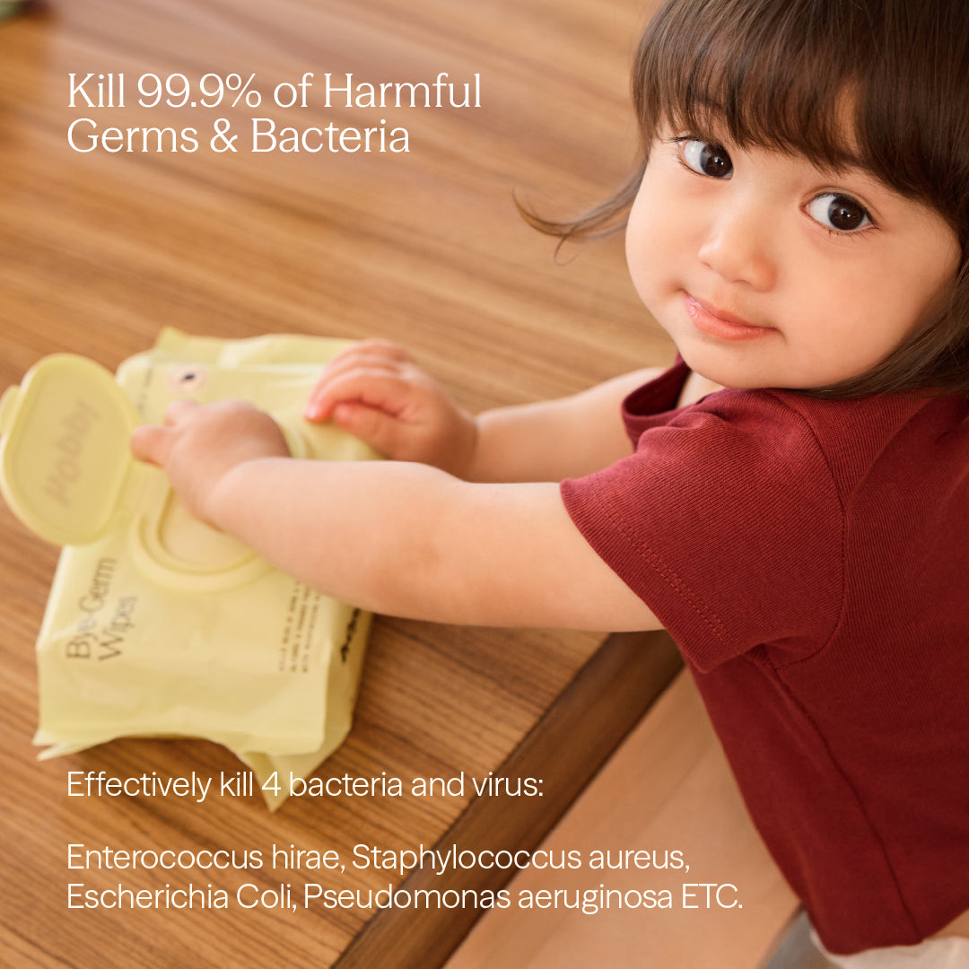 Bye-Germ Wipes
