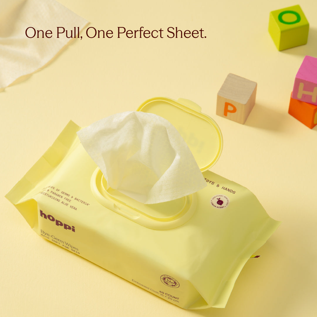 Bye-Germ Wipes
