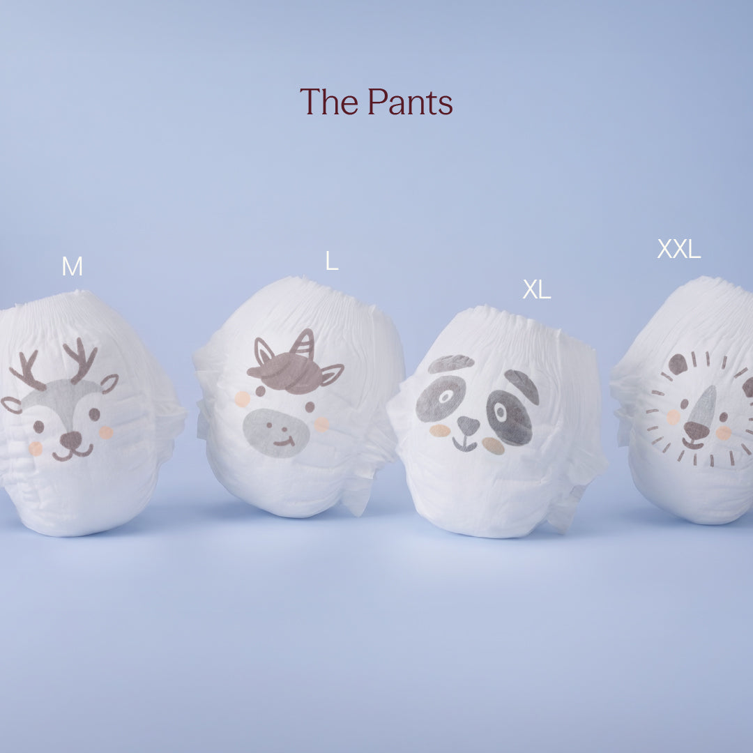 type:pants